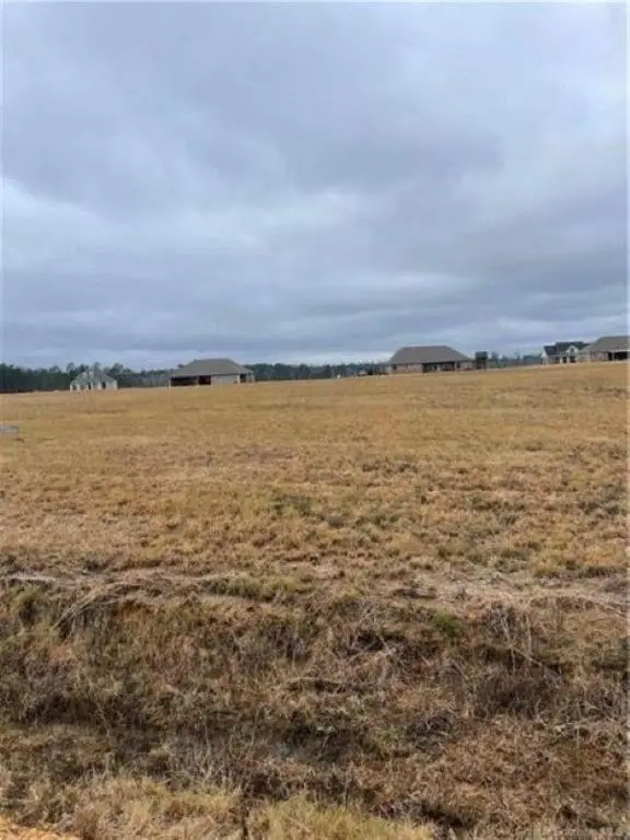 0 Kayleigh Drive, Longville, LA 70652 - #3