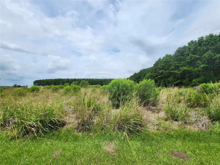 560 Jessie Johnson Road, Kinder, LA 70648 - #2