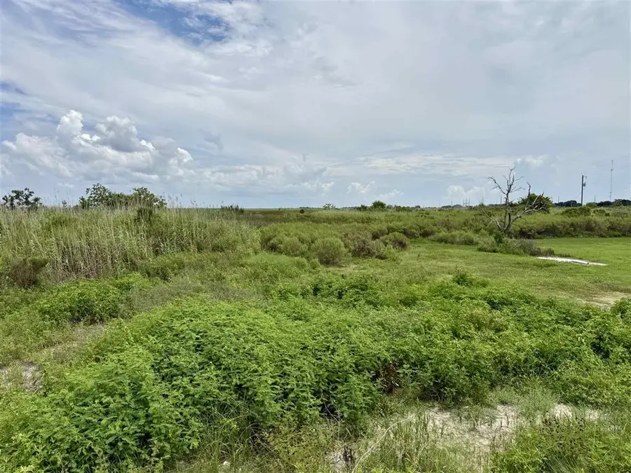 236 Pierre Street, Cameron, LA 70631 - #3