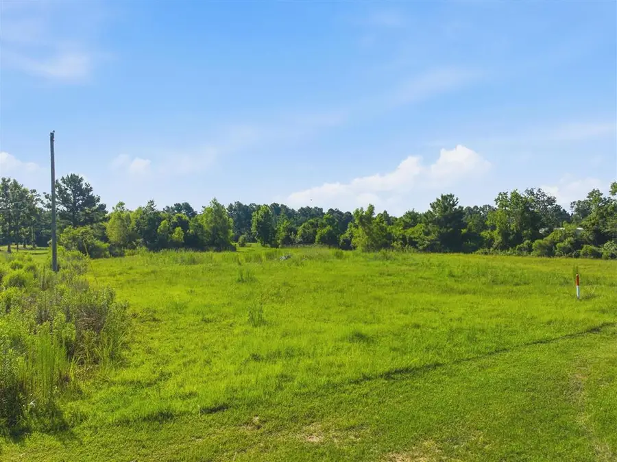 1414 Jackson-gimnick Loop, Ragley, LA 70657 - #2