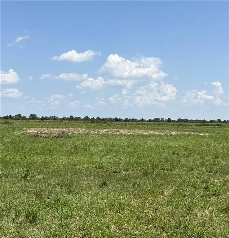 443 Charlie Kuntz Road, Kinder, LA 70648 - #3
