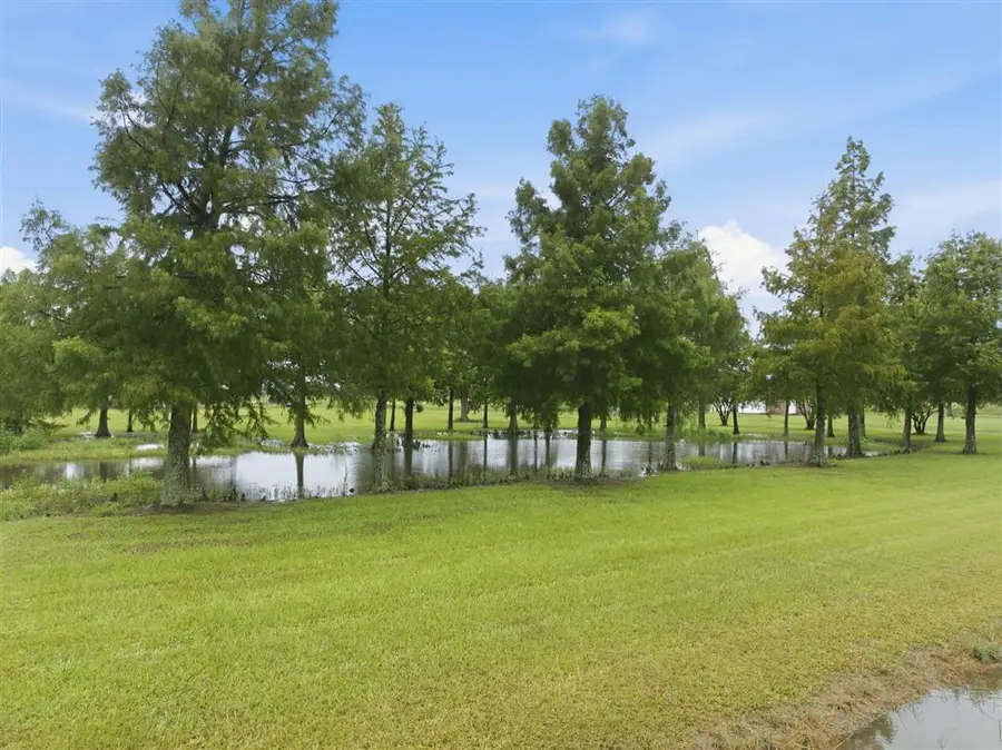 12135 Pousson Road, Iowa, LA 70647 - #2