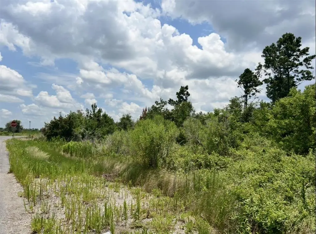 Big Lake Road, Lake Charles, LA 70605 - #1