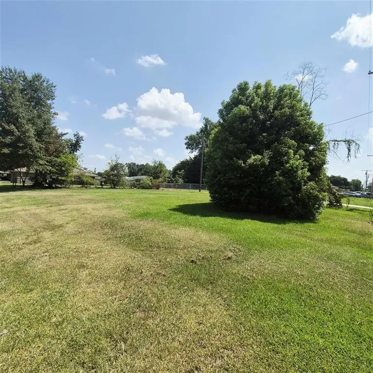 1401 Cactus Drive, Lake Charles, LA 70607 - #2