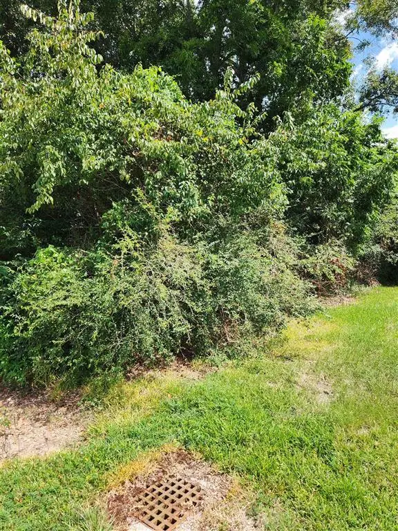 Tbd Jackson Street, Lake Charles, LA 70601 - #3