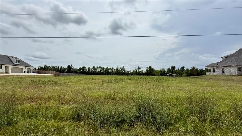 1067 Zoes Court, Lake Charles, LA 70605 - #1