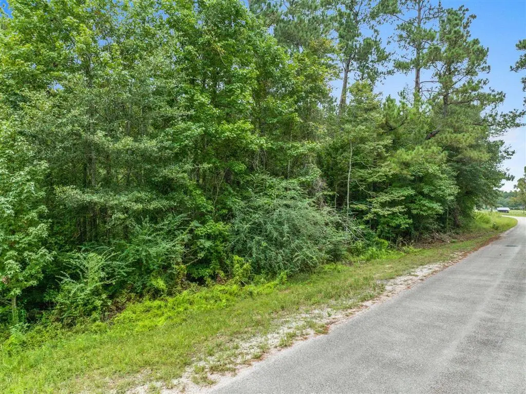 195 Ashworth Rd Road, Singer, LA 70660 - #1