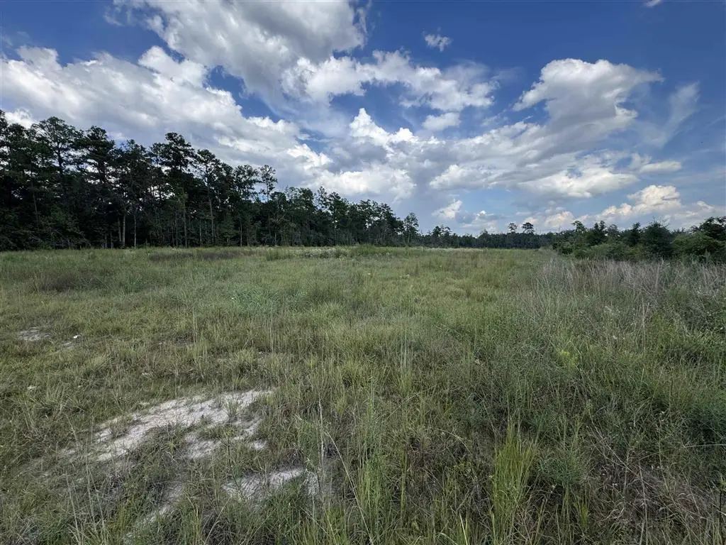 333 Alcock Rd Road, Longville, LA 70652 - #1