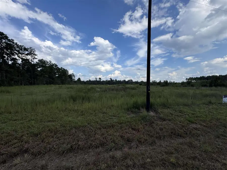 333 Alcock Rd Road, Longville, LA 70652 - #2
