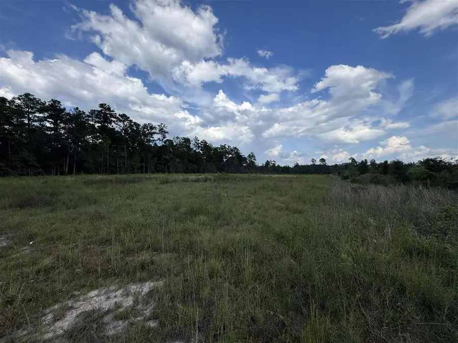 333 Alcock Rd Road, Longville, LA 70652 - #3