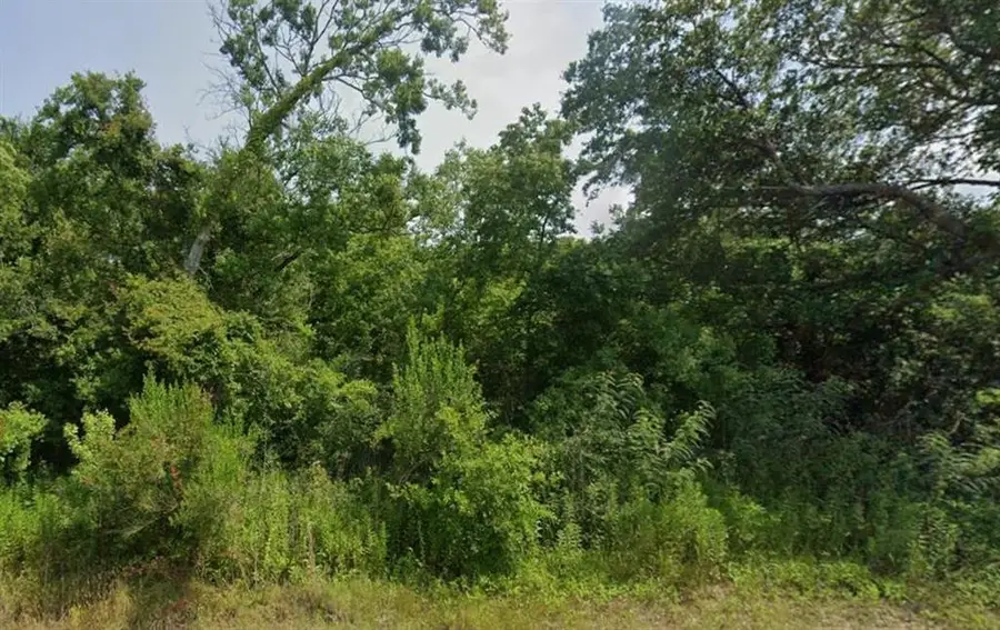 Tbd Hwy 1133 Highway, Sulphur, LA 70665 - #2