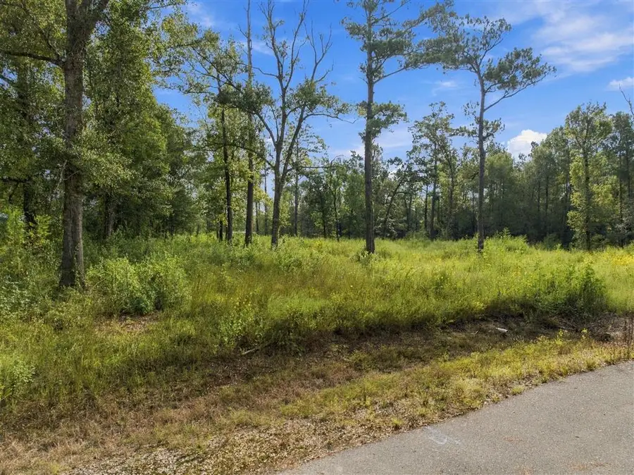 105 N Charlais Drive N, Ragley, LA 70657 - #2