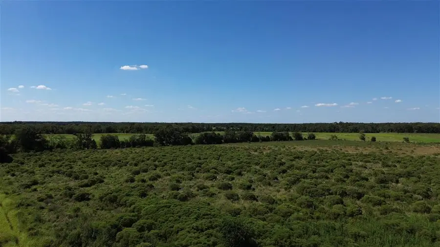 TBD Young Drive, Eunice, LA 70535 - #2