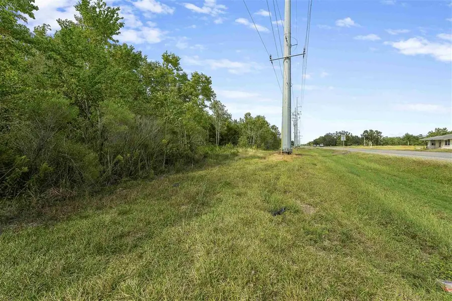 1234 Main Street, Hackberry, LA 70645 - #3