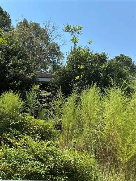 7931 Highway 26, Oberlin, LA 70655 - #1