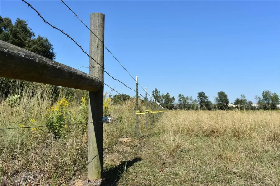 252 Logan Ln, Eunice, LA  - #3