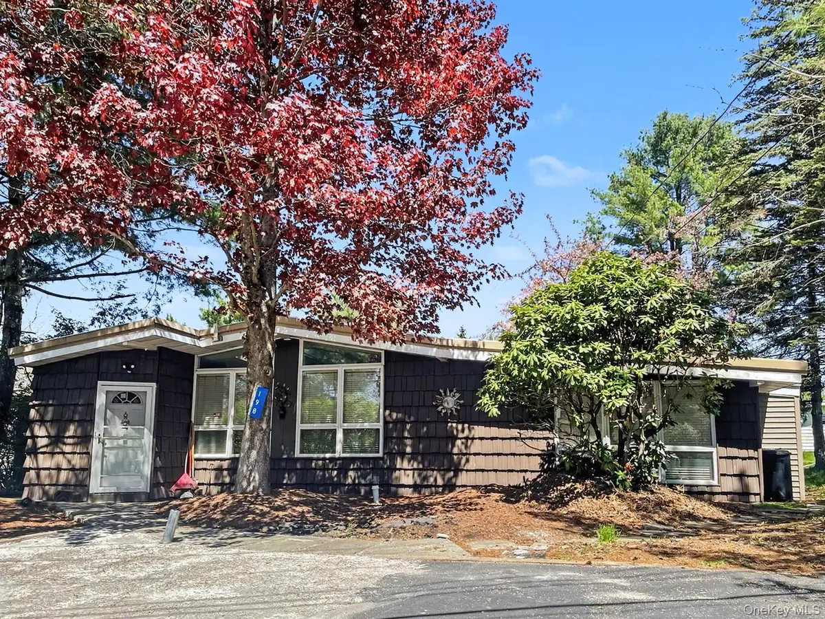 198 Lake Shore Drive E, Rock Hill, NY 12775 - #1