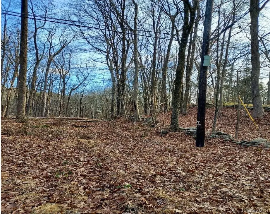 Laurie Lane, South Salem, NY 10590 - #1