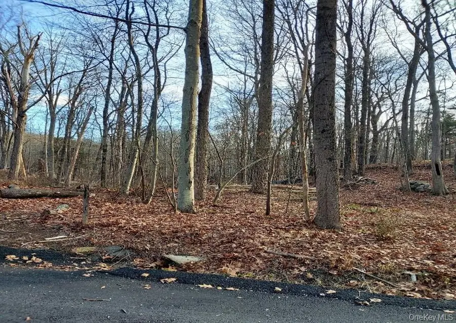 Laurie Lane, South Salem, NY 10590 - #2