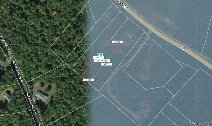 973 State Route 42, Deerpark, NY 12780 - #2
