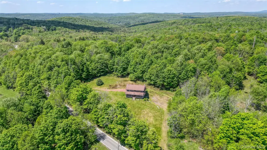 25 Cauthers Road, Fallsburg, NY 12733 - #2