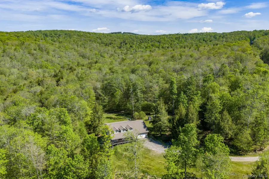 114 Turkey Hollow Lane, Livingston Manor, NY 12758 - #3