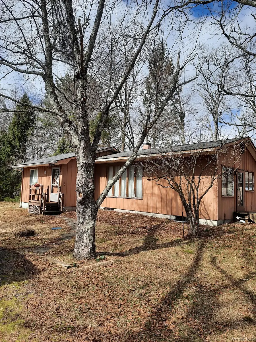 18 Old Sackett Road, Rock Hill, NY 12775 - #3