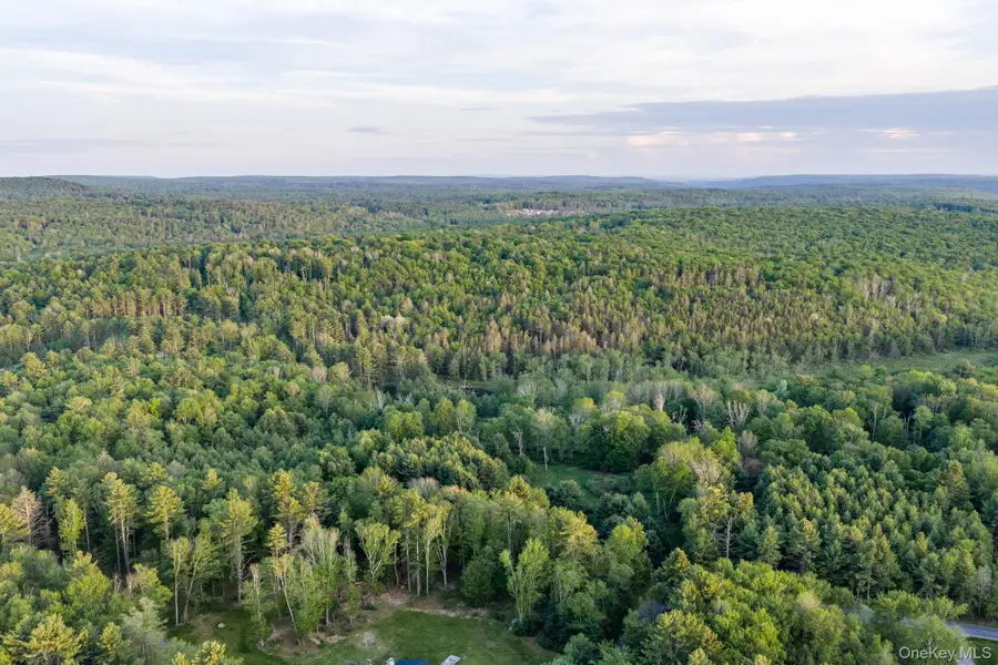 Mongaup Road, Monticello, NY 12701 - #3