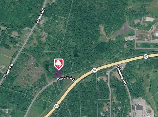 Drive In, Fallsburg, NY 12733