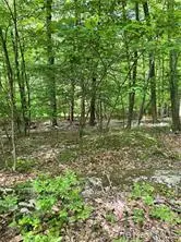 TBD Hawleys Corners, Highland, NY 12528 - #1
