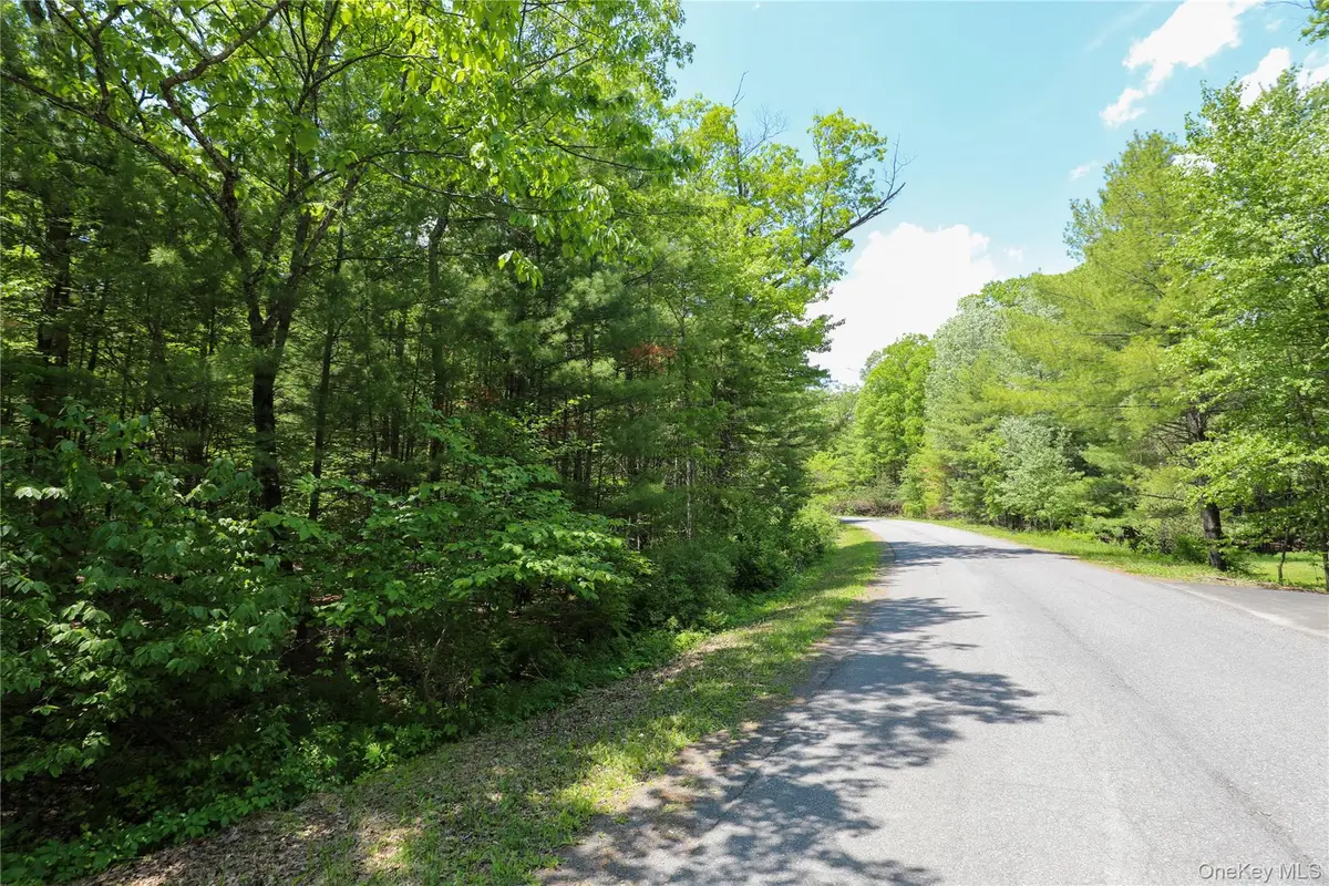TBD Bristol Hill Road, Hurley, NY 12443 - #1