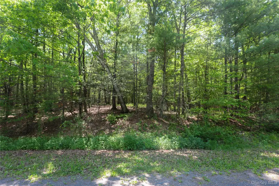 TBD Bristol Hill Road, Hurley, NY 12443 - #2