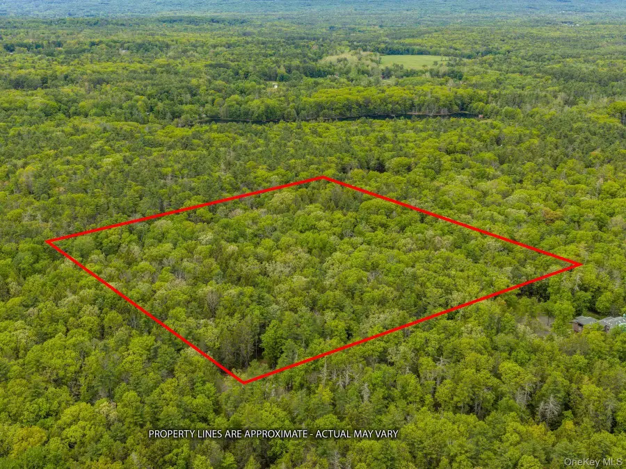 40 Mamoud Hills, Lot #4 Road, Kingston, NY 12401 - #2