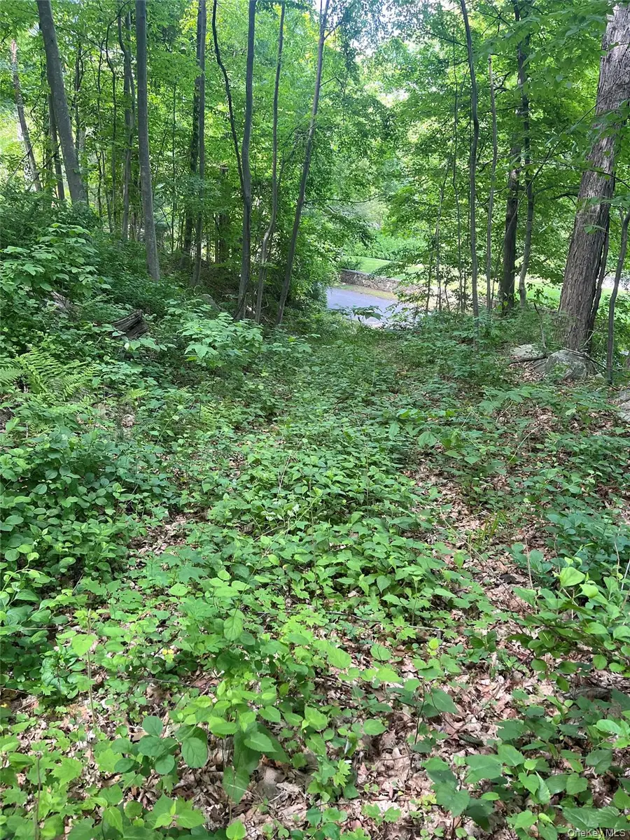 Old Church Road, Putnam Valley, NY 10579 - #2