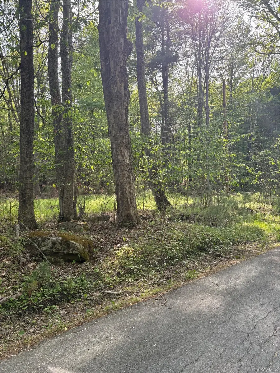 Lucks Road, Greenfield Park, NY 12435 - #2