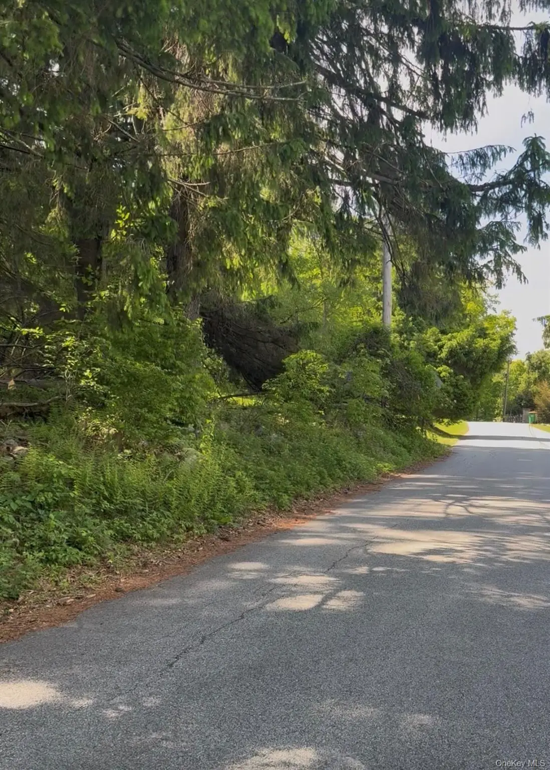 Mountain Road N, Cold Spring, NY 10516 - #1