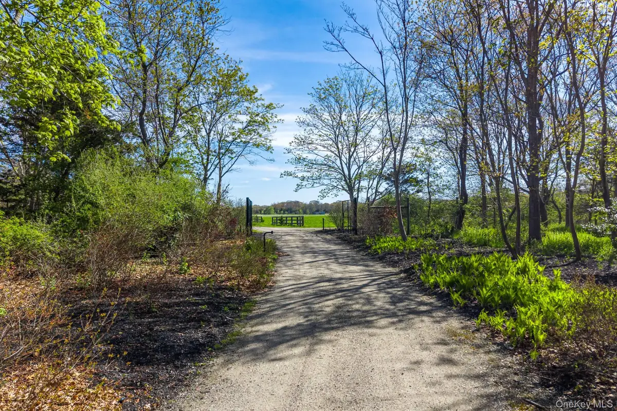 3123 & 3595 Skunk Lane, Cutchogue, NY 11935 - #1