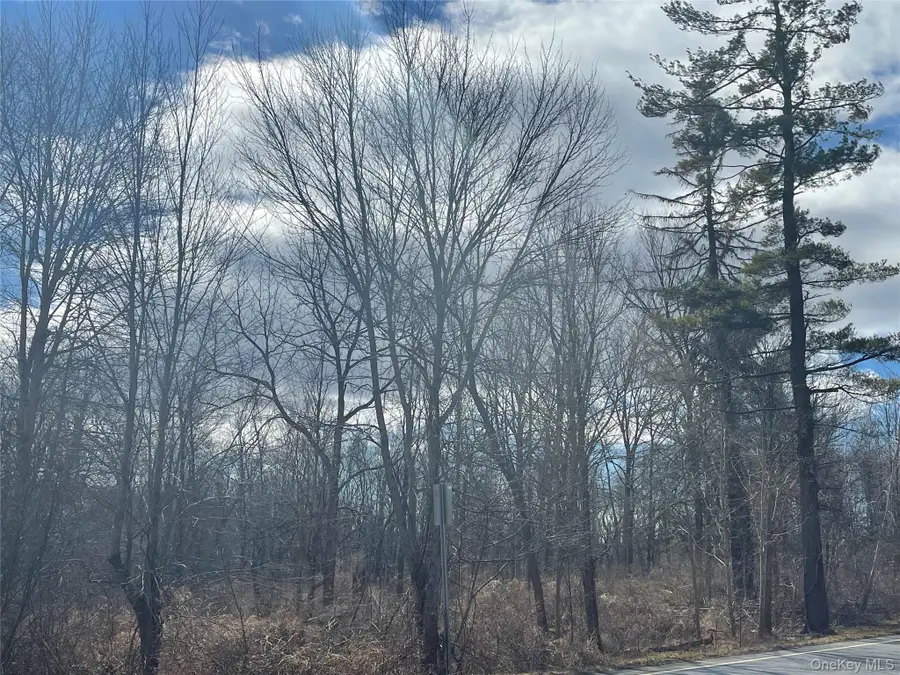Noxon Road, Lagrangeville, NY 12540 - #2