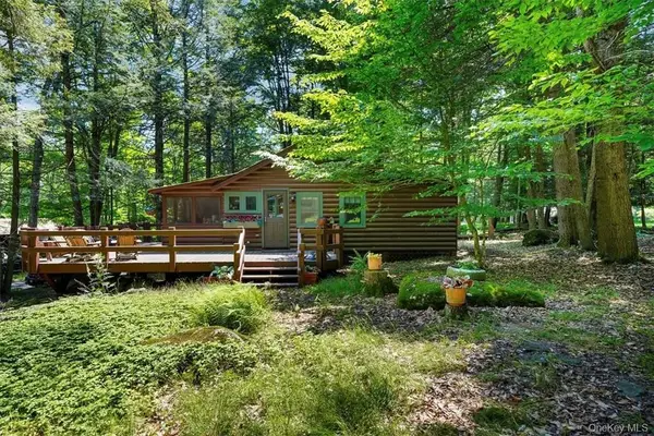 38 W Adirondack Trail, Smallwood, NY 12778