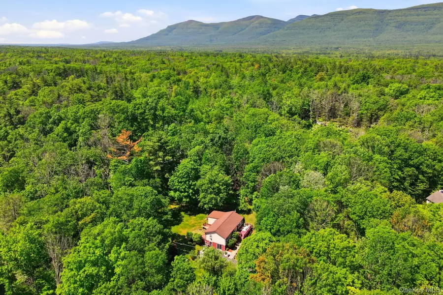 13 Diamond Court, Saugerties, NY 12477 - #2