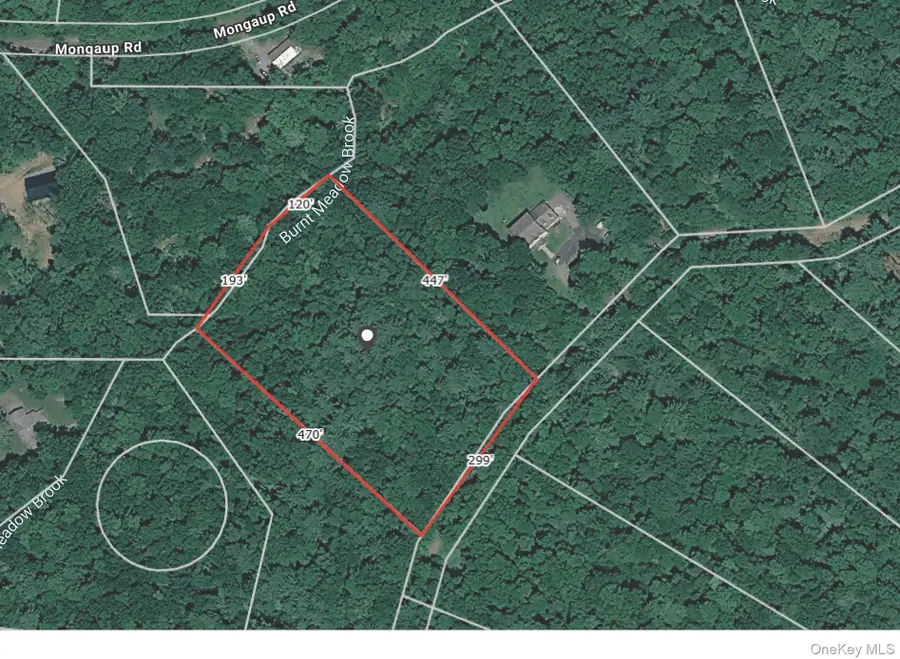 Starlight Drive, Monticello, NY 12701 - #3