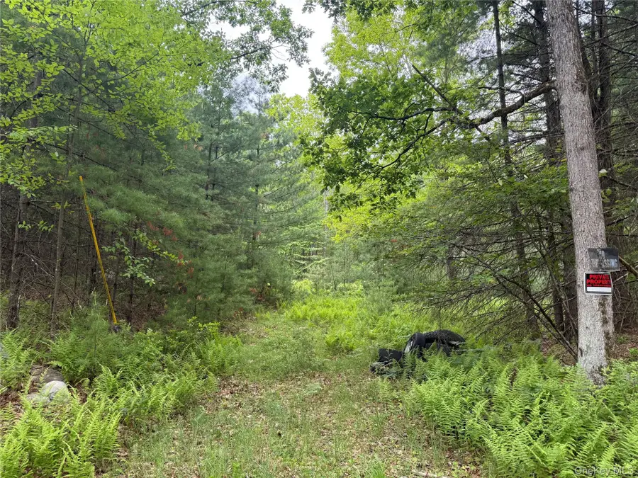 Depot Road, Wurtsboro, NY 12790 - #2
