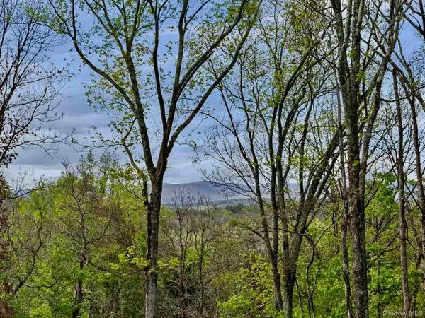 Tbd Route 44/55, Kerhonkson, NY 12446