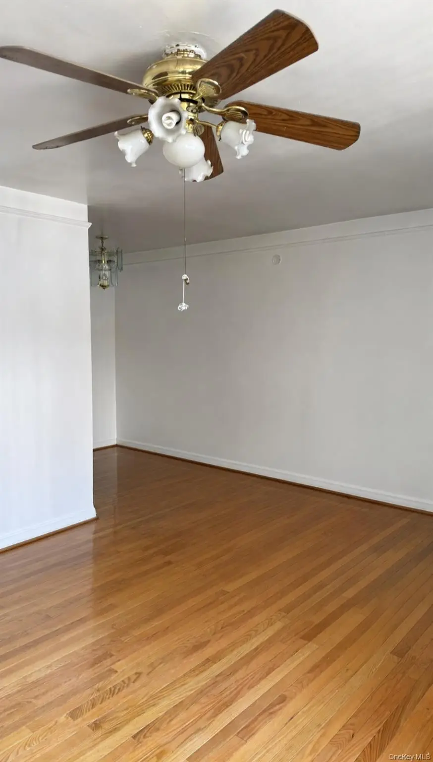 214-07B Hillside Ave #Unit B, Queens Village, NY 11427 - #3