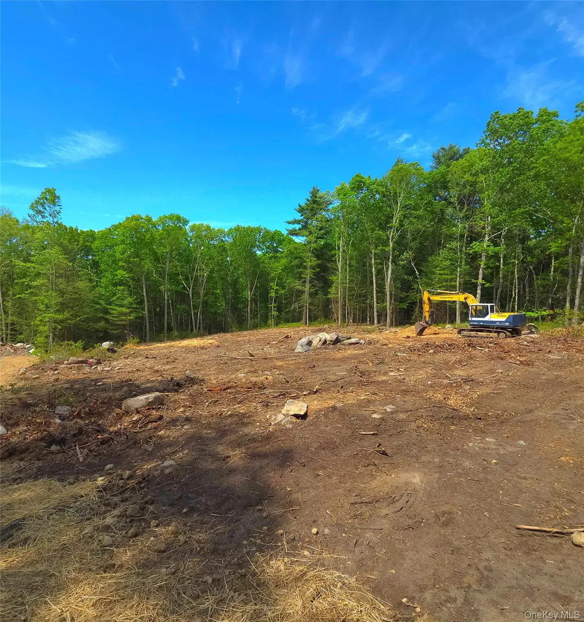 1027 Pine Kill, Wurtsboro, NY 12790 - #1