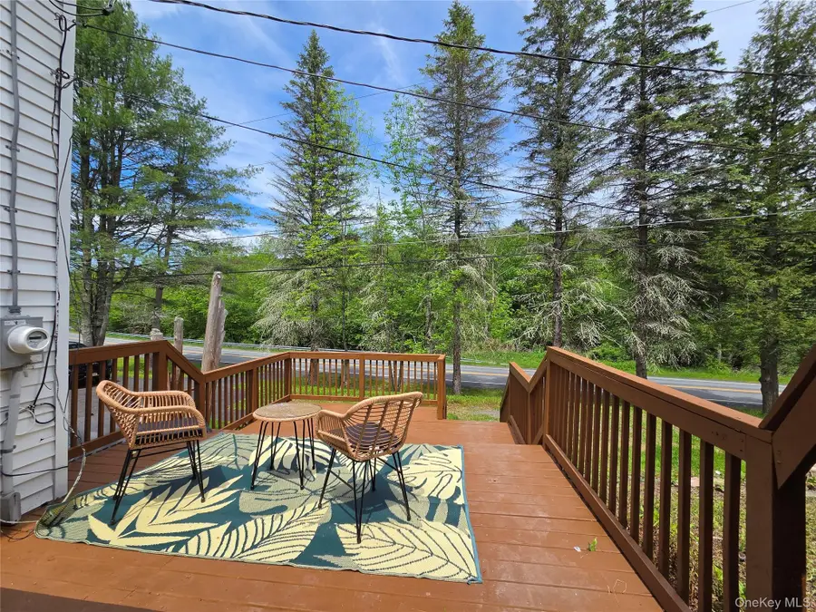 253 Harris Bushville Road, Monticello, NY 12701 - #3