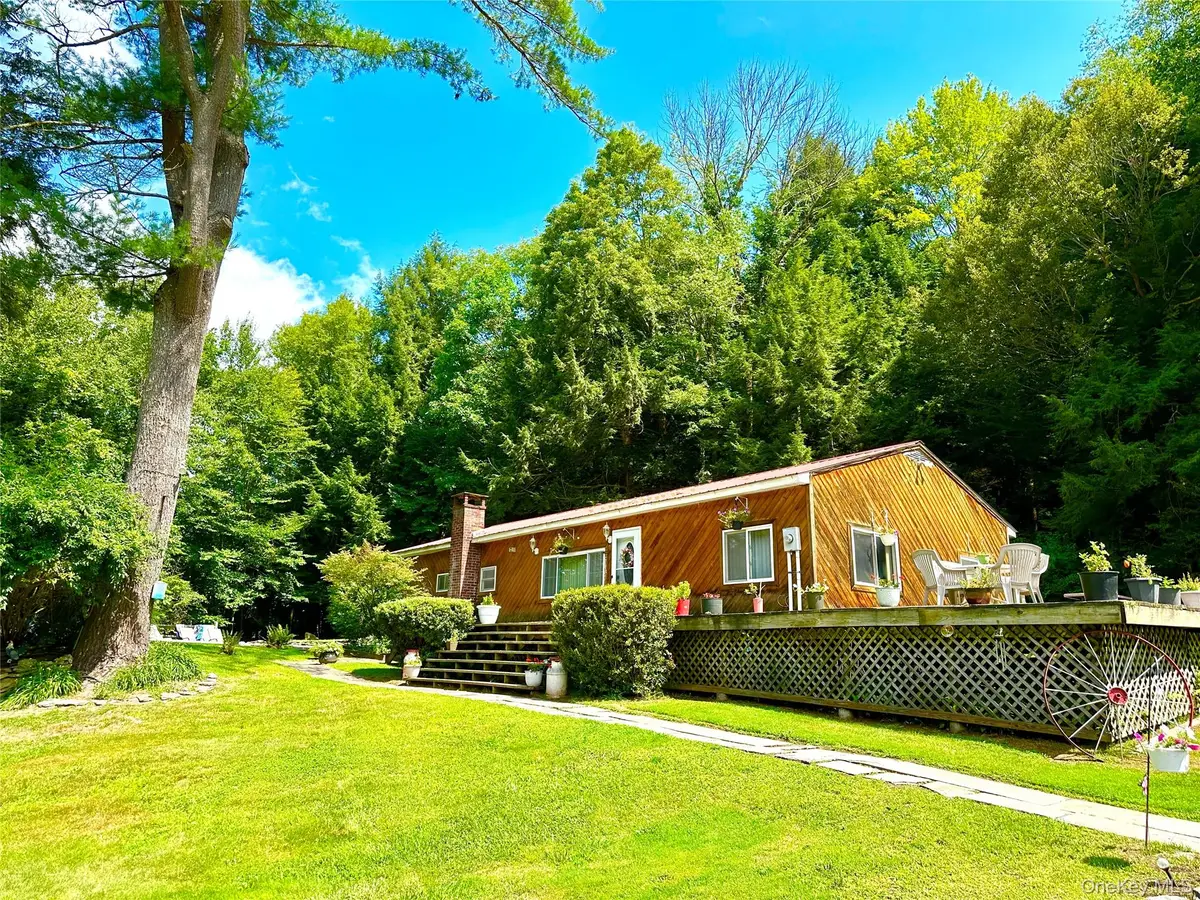 12 Mesmer, Callicoon, NY 12723 - #1