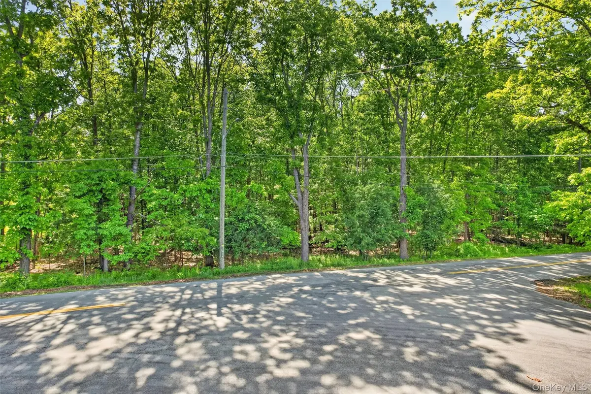 Dosen Road, Middletown, NY 10940 - #1