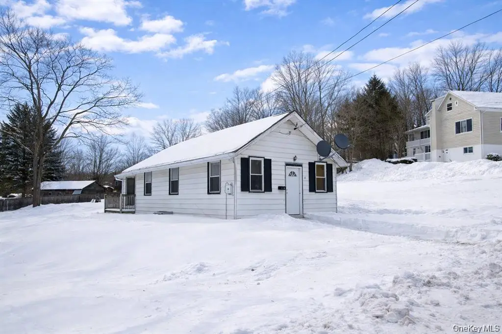 24 Albion Street, Liberty, NY 12754 - #1