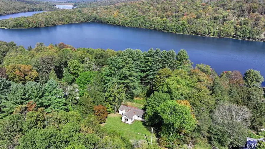 1463 Briscoe Road, Swan Lake, NY 12783 - #2